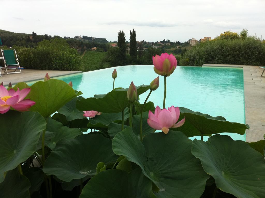 Agriturismo Raccianello San Gimignano Exteriör bild