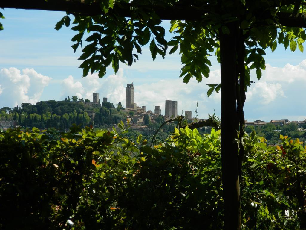 Agriturismo Raccianello San Gimignano Exteriör bild